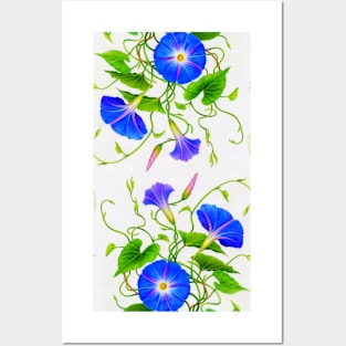 Morning Glory floral pattern Posters and Art